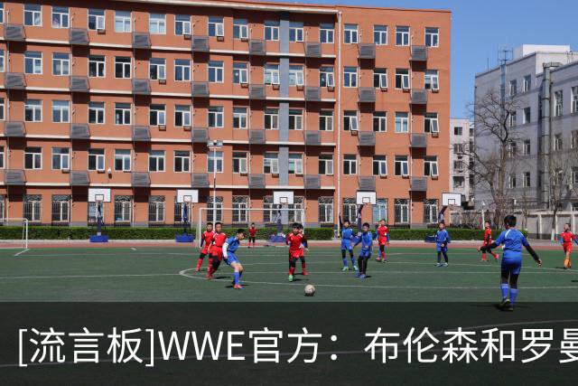 [流言板]WWE官方：布伦森和罗曼举起金腰带，哈利伯顿拿着铁椅和赛斯踢馆
